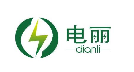深度 北京電麗 售電公司生存秘籍 綜合用能 能源托管 電力金融