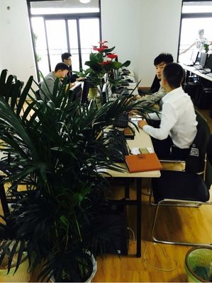 武漢金誠匯譽(yù)商務(wù)信息咨詢 專業(yè)服務(wù)助力企業(yè)發(fā)展